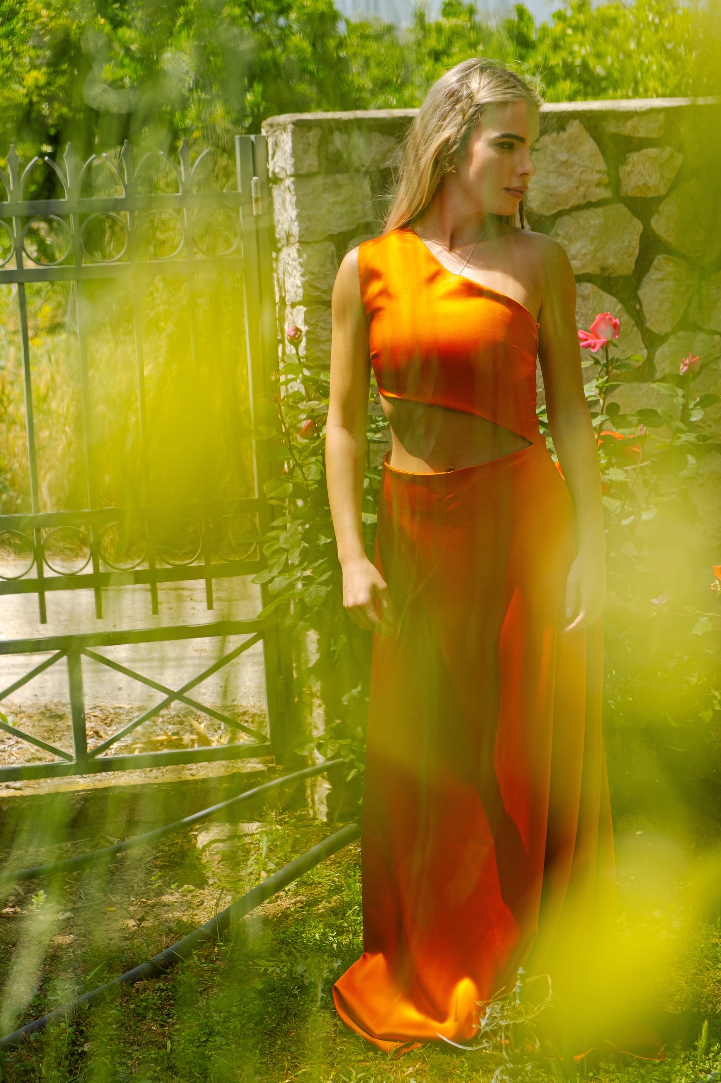 DILINO MAXI DRESS